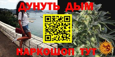 гидра Будённовск