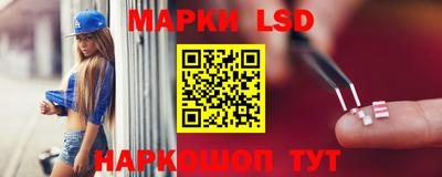 гидра Будённовск
