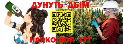 гидра Будённовск