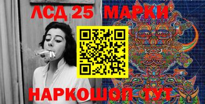 гидра Будённовск