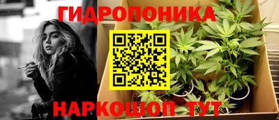 гидра Будённовск